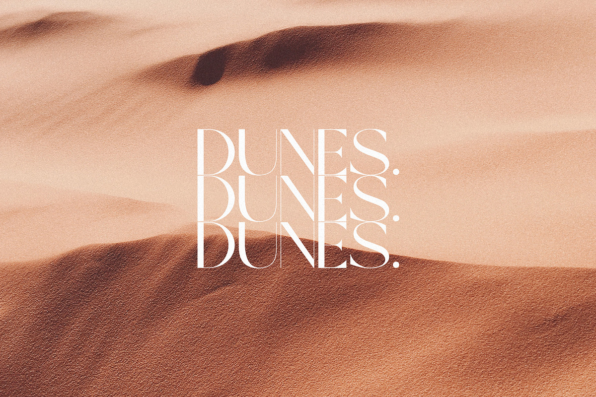 Magnolia - Elegant & Modern Sans, a Sans Serif Font by Schrifted Type (Photo 6 of 8)