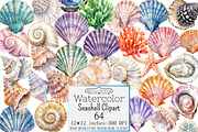 Watercolor Seashell Clipart, a Seasonal Illustration by Design Market (Thumbnail 1 of 5)
