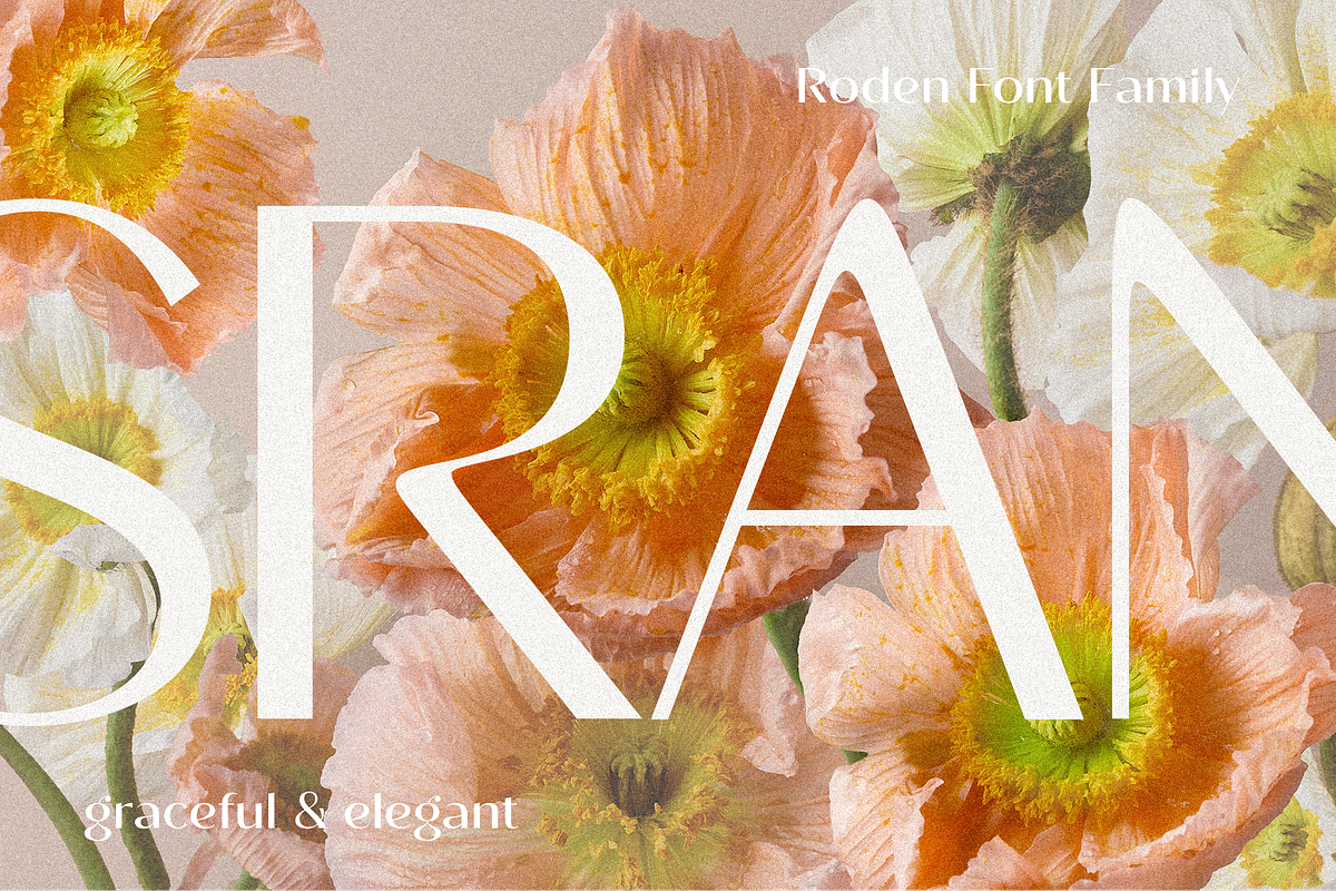 Roden, a Sans Serif Font by Larin Type Co. (Photo 2 of 15)