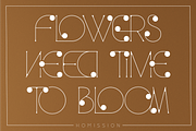 Homission Font, a Serif Font by 177Studio (Thumbnail 6 of 8)