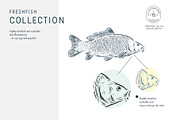The Freshwater Fish Collection, an Animal Illustration by dicreate (Thumbnail 5 of 6)