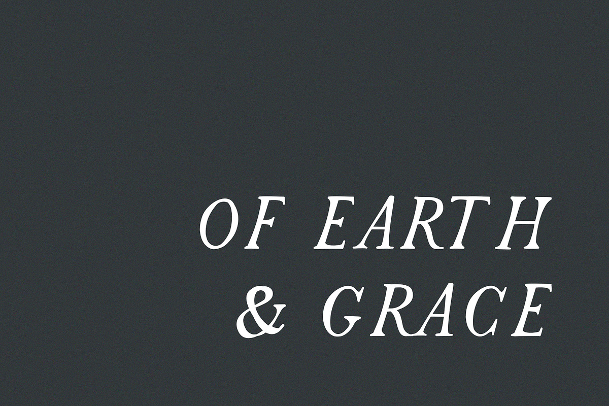 Passion | Romantic Serif preview 6