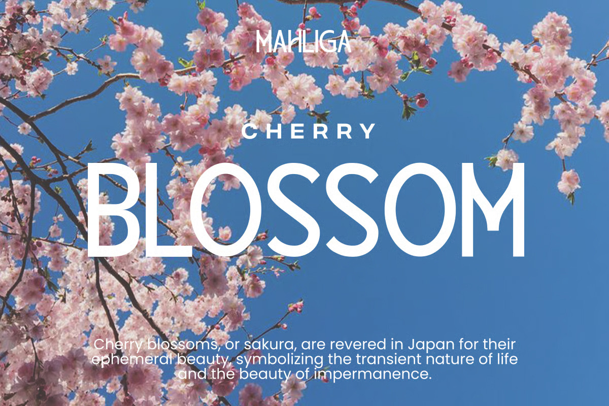 Mahliga – Modern Sans Serif Typeface, a Sans Serif Font by Brand Earth (Photo 4 of 13)