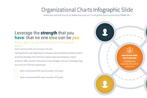 Organizational Charts PowerPoint