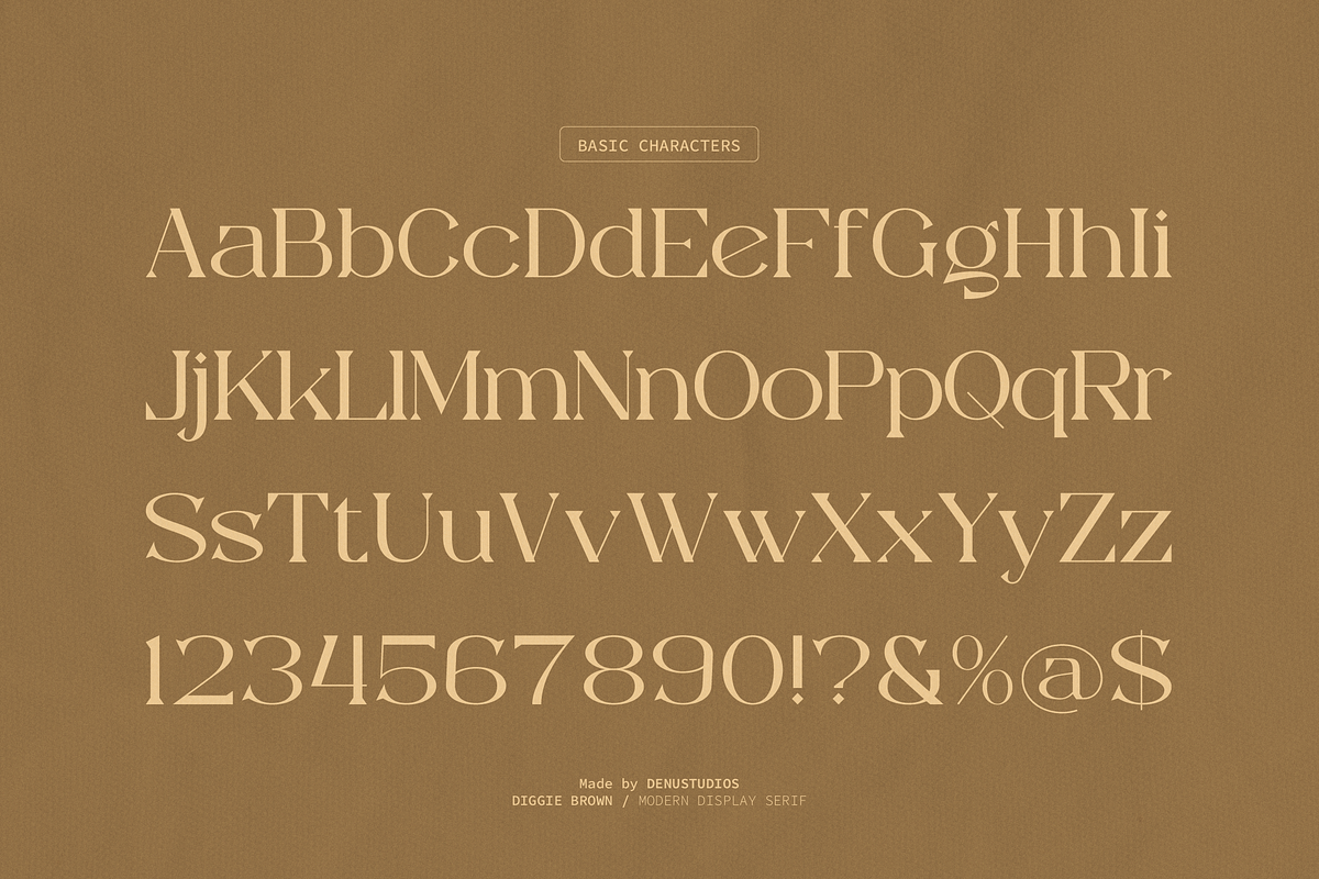 Diggie Brown | Modern Display Serif, a Serif Font by Denustudios (Photo 10 of 12)