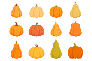 Cartoon isolated pumpkins. Harvest