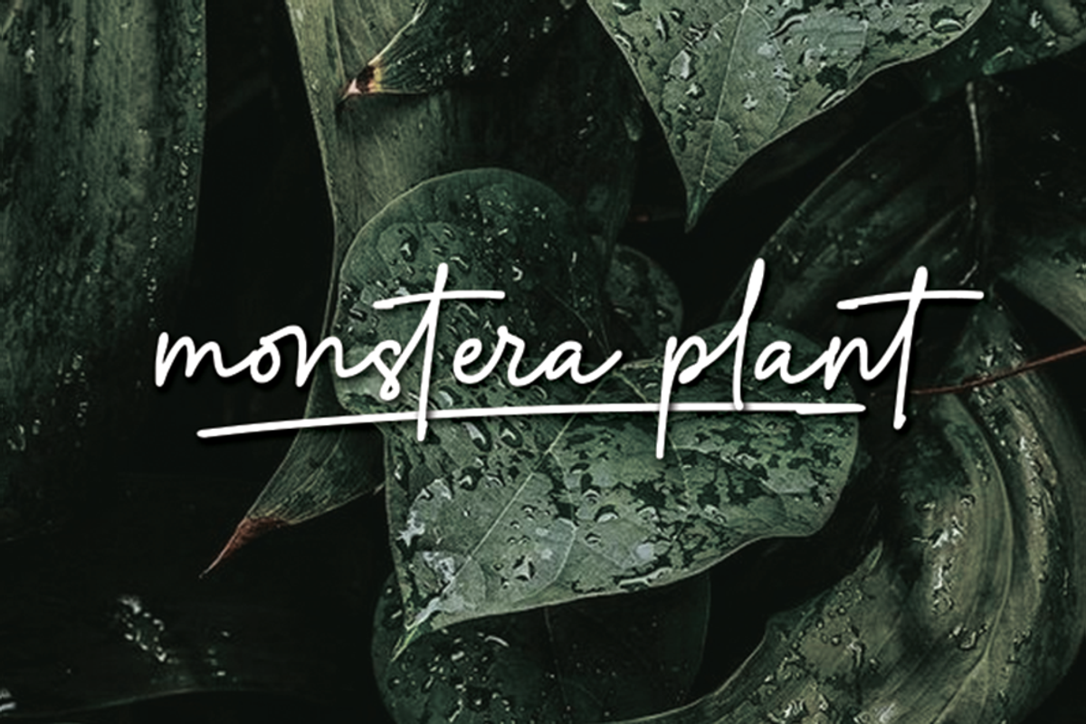 Artecallya, a Script Font by GlottaTypeface (Photo 5 of 8)