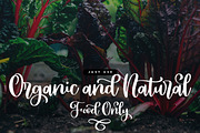 Hailey - Cute and Bold Script, a Script Font by Typefactoryco (Thumbnail 2 of 7)