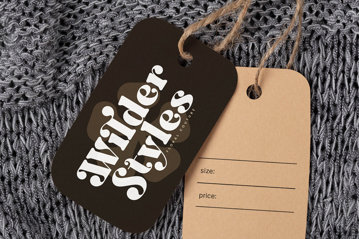 Twilight Mystic Modern Retro Serif, a Serif Font by timelesstype.co (Photo 11 of 20)