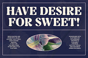Rost Bird - Bold Swashes Retro Serif, a Serif Font by Typia Nesia (Thumbnail 7 of 15)