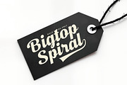Magic Parade Modern Bold Script, a Script Font by timelesstype.co (Thumbnail 14 of 20)