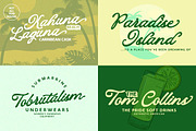 Variation Classic, a Script Font by StudioRhd (Thumbnail 10 of 11)