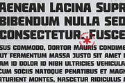 Jack Tiger Sport Font, a Symbol Font by Ledokolua (Thumbnail 5 of 5)
