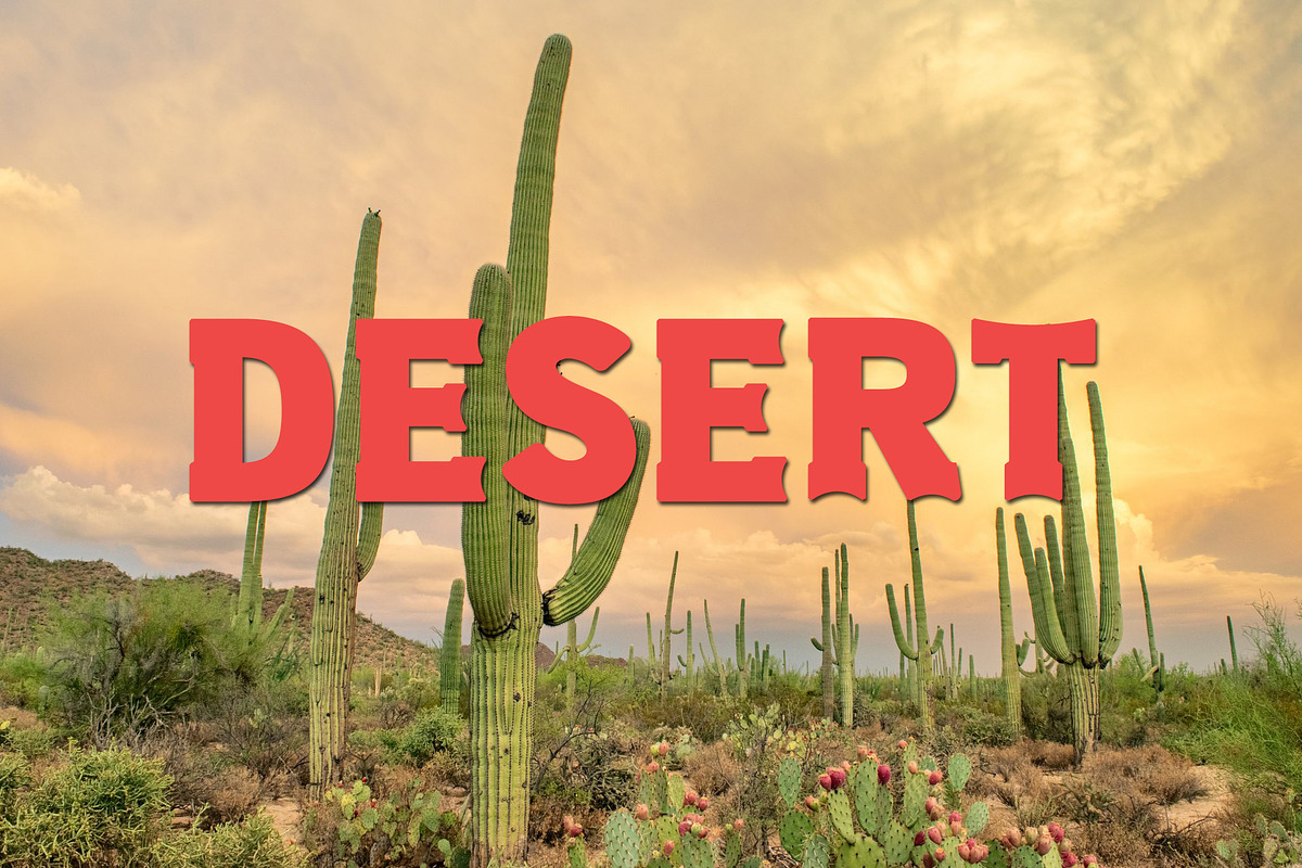 Old West - Western Font, a Slab Serif Font by vladocar (Photo 6 of 10)