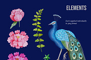 JAI Collection, a Decorative Illustration by Dana Designs (Thumbnail 3 of 14)