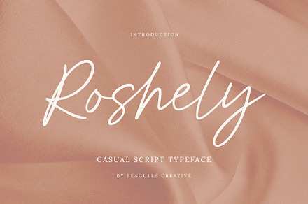 Roshely Casual Script, a Script Font by Seagulls Creative