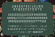 Tanqier Groovy Display Font, a Serif Font by timelesstype.co (Thumbnail 19 of 20)
