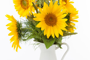Sunflowers in a jug