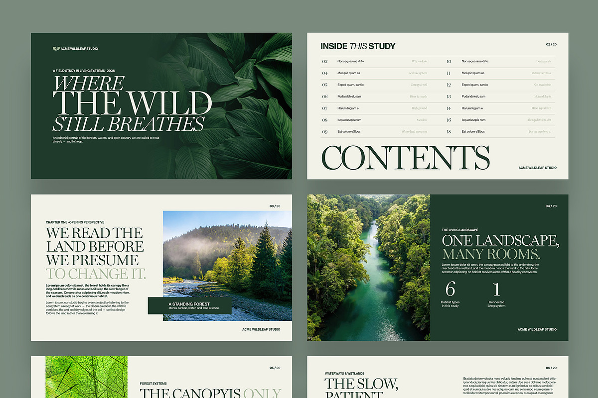 Nature Presentation Template, a Presentation Template by BrandPacks (Photo 7 of 7)