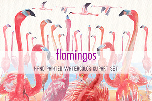 Toucans And Flamingos Watercolor Set