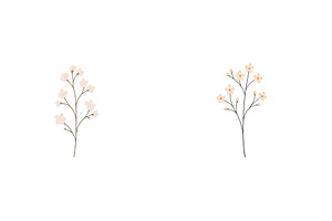 Floral design featuring delicate, an Arts & Entertainment Photo by ZinetroN