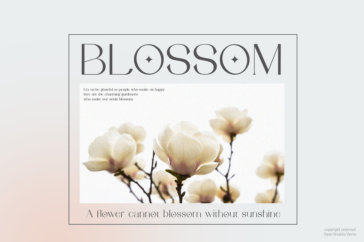 Carmilla | Aesthetic Display Font, a Sans Serif Font by Ryan Rivaldo Vierra (Photo 2 of 8)