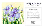 Watercolor Purple Irises Printable, a Decorative Illustration by Harmony Draws (Thumbnail 2 of 3)