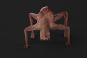 Mother of Monsters, a Characters & Person 3D Model by NojskaAksjon (Thumbnail 4 of 31)