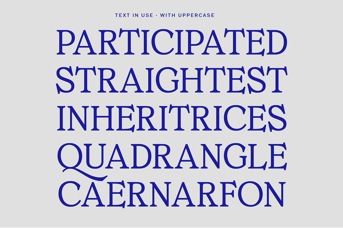 MTC Ciscela - Unique Serif Display, a Serif Font by Martype Co (Photo 9 of 9)