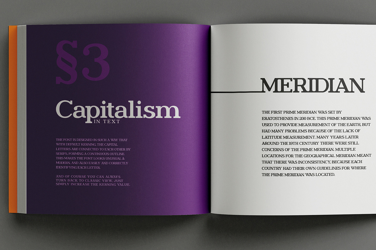 Brightfield Serif Font, a Serif Font by Cyritron (Photo 3 of 12)