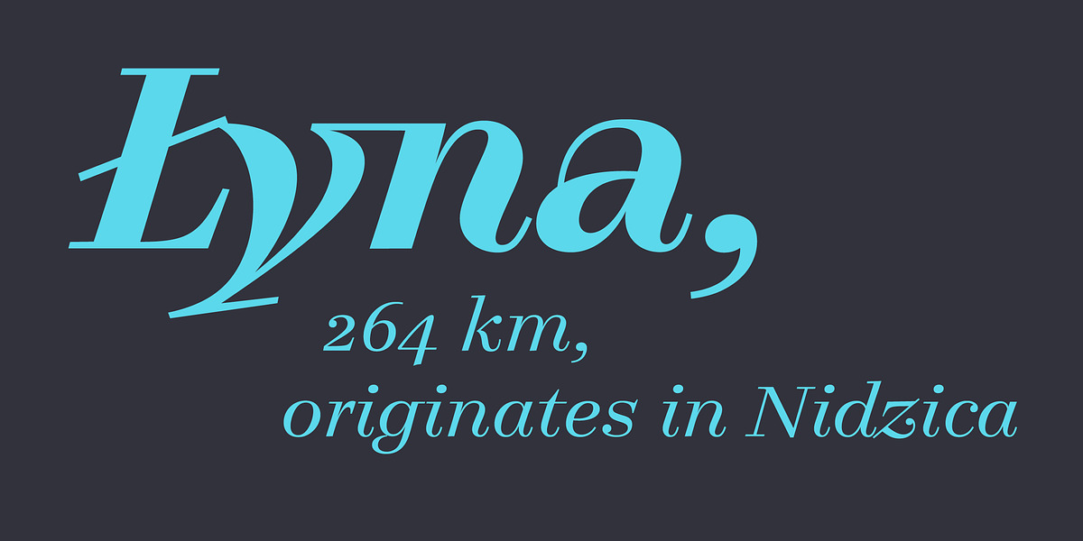 Legit Didone, a Serif Font by Finaltype (Photo 13 of 13)