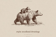 Sepia Woodland Drawings, an Animal Illustration by PeDe Designs (Thumbnail 1 of 15)