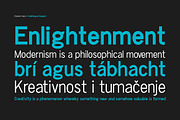 Chester Sans - Type Family, a Sans Serif Font by BorisG (Thumbnail 8 of 13)