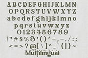 Arinag – Retro Serif Font, a Serif Font by NDNL Studio (Thumbnail 7 of 8)