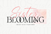 Silent Noise// Modern Font Duo, a Serif Font by Dora Typefoundry (Thumbnail 4 of 12)