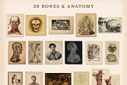 175 Vintage Halloween Ephemera, an Object Graphic by The Object Atlas (Thumbnail 8 of 13)