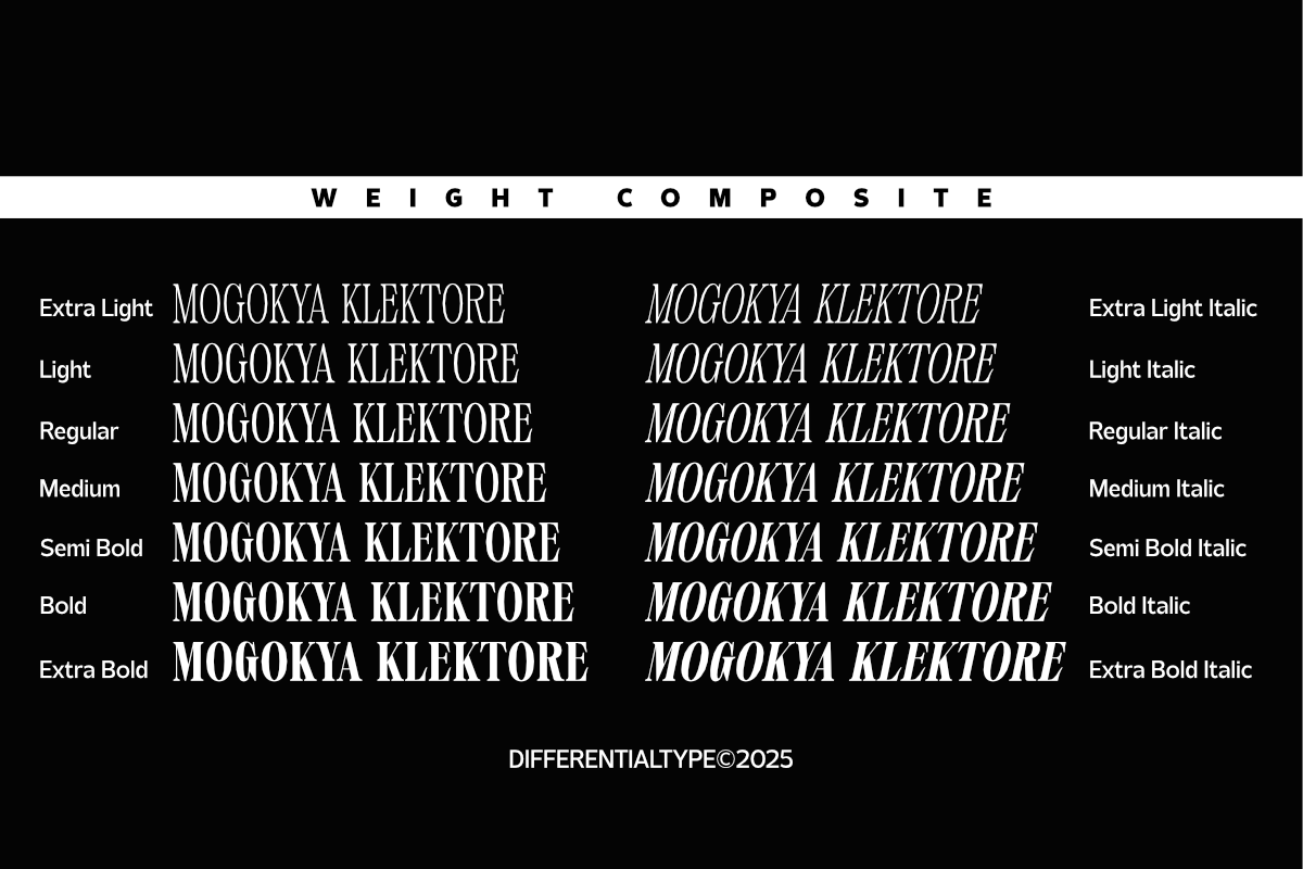 Mogokya Klektore, a Serif Font by Differentialtype (Photo 11 of 11)