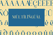 Saltive - Elegant Modern Serif, a Serif Font by Qweera Studio (Thumbnail 10 of 12)