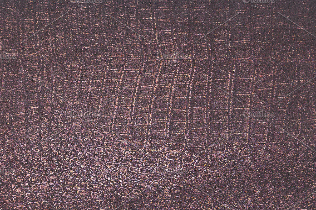 Scales & Skins Textures, a Texture Graphic by Blue Line Design (Photo 3 of 5)