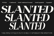 Magres, a Serif Font by Propertype (Thumbnail 14 of 15)
