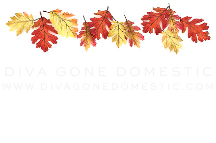 Styled Fall Autumn Stock Photo