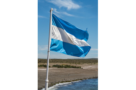 Argentine flag on overlook by the, an Animal Photo by Backyard Stock