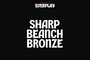 Everplay – Modern Display Typeface, a Serif Font by VP Fonts (Thumbnail 23 of 37)