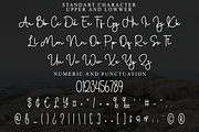 Scriptina, a Handwritten Font by FreshTypeINK (Thumbnail 3 of 8)