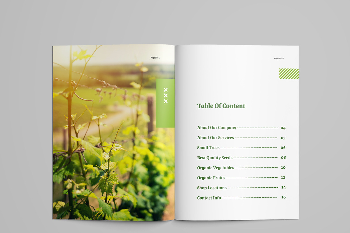 Agriculture Firm Company Profile, a Brochure Template by mijli (Photo 2 of 11)