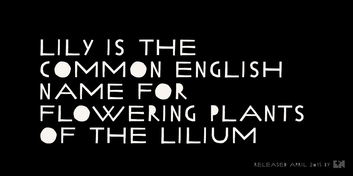 Lilycat, a Handwritten Font by Letters & Numbers (Photo 4 of 4)