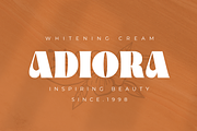 Qitella Modern Stylist Font, a Serif Font by zeenesia (Thumbnail 11 of 15)