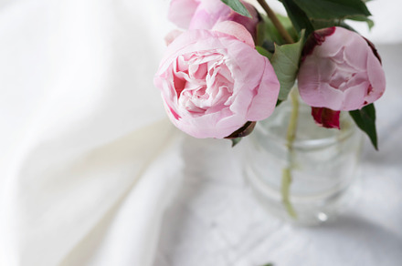 White linen and pink peony