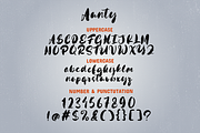 Aunthy - Vintage Handwritten, a Handwritten Font by Haps Space (Thumbnail 8 of 10)
