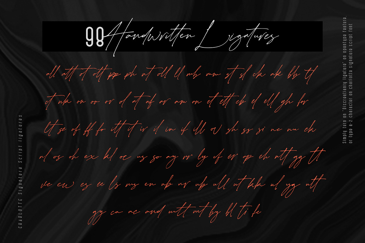 Charlotte Signature Font Duo, a Script Font by Type and Co. (Photo 13 of 18)